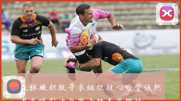 森林狼积极寻求组织核心哈登依然具备吸引力与华子联手可能性